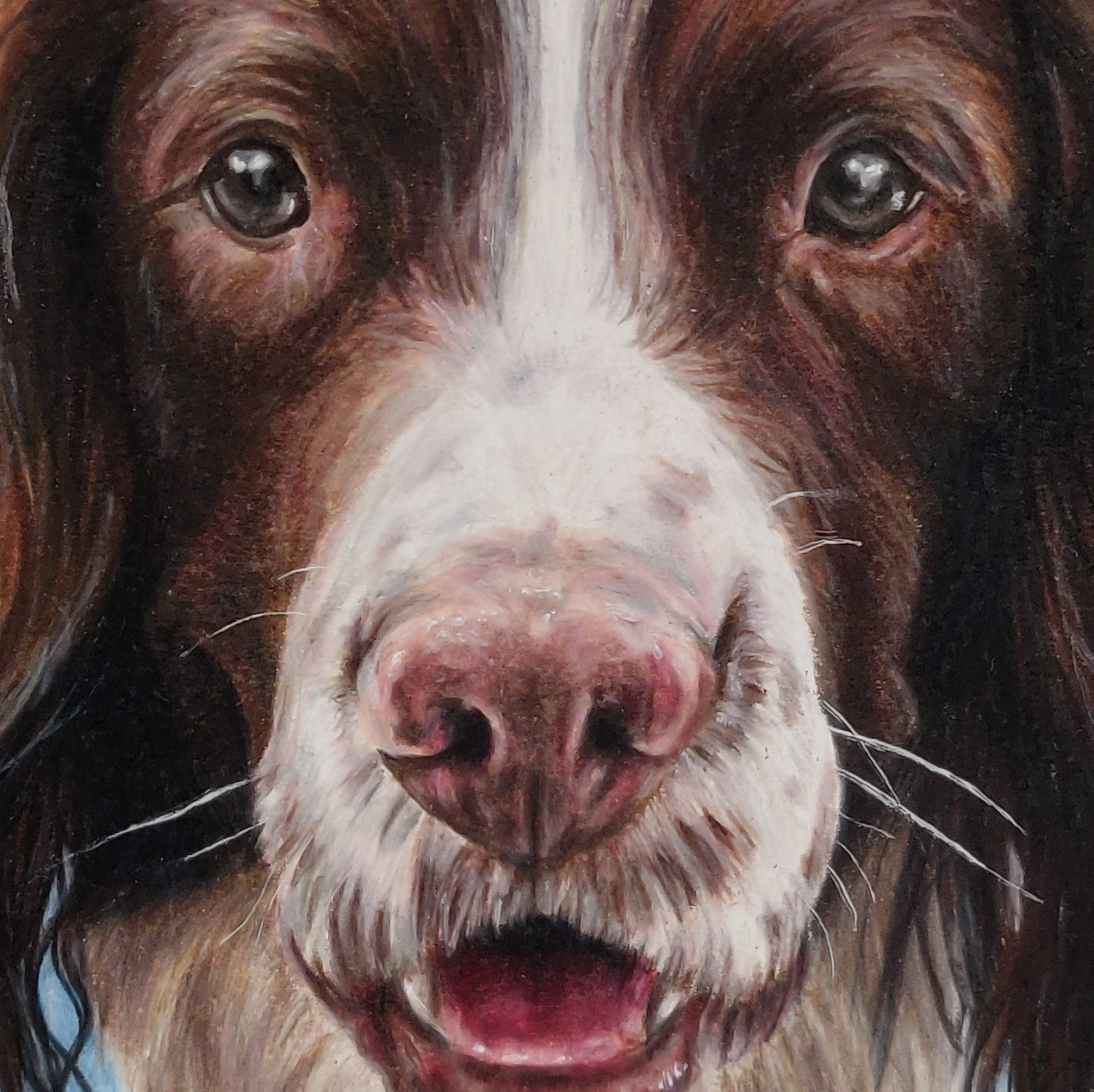 Up close realistic spaniel dog portrait